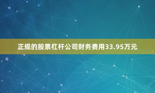 正规的股票杠杆公司财务费用33.95万元