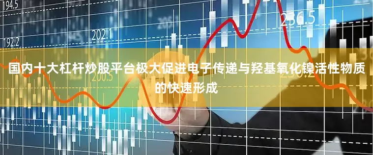 国内十大杠杆炒股平台极大促进电子传递与羟基氧化镍活性物质的快速形成