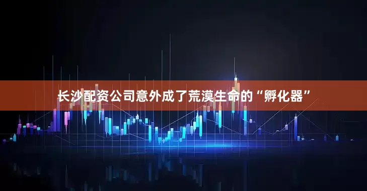 长沙配资公司意外成了荒漠生命的“孵化器”
