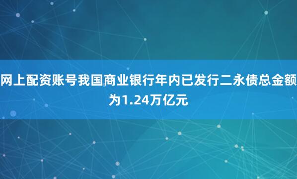 网上配资账号我国商业银行年内已发行二永债总金额为1.24万亿元